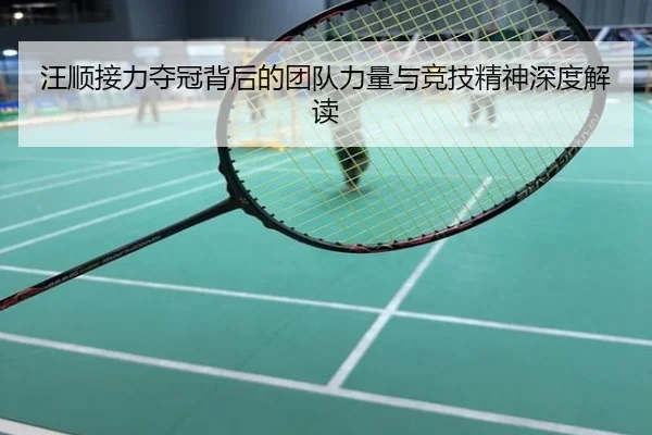 汪顺接力夺冠背后的团队力量与竞技精神深度解读