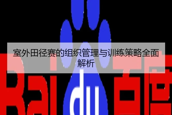 室外田径赛的组织管理与训练策略全面解析