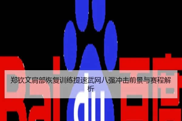 郑钦文肩部恢复训练提速武网八强冲击前景与赛程解析